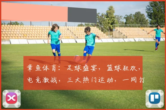 章鱼体育：足球盛宴，篮球狂欢，电竞激战，三大热门运动，一网打尽