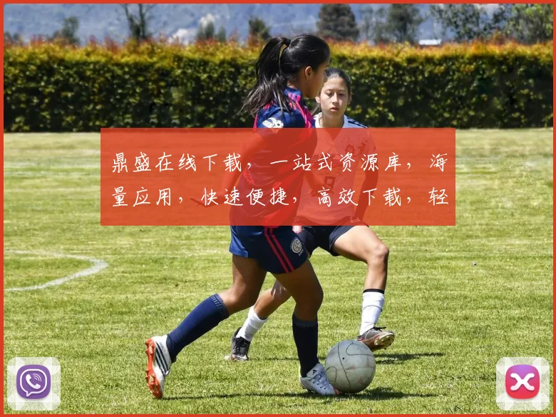 鼎盛在线下载，一站式资源库，海量应用，快速便捷，高效下载，轻松拥有
