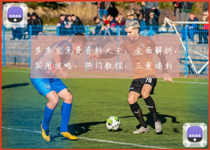 多多宝免费资料大全，全面解析，实用攻略，热门教程，三重福利