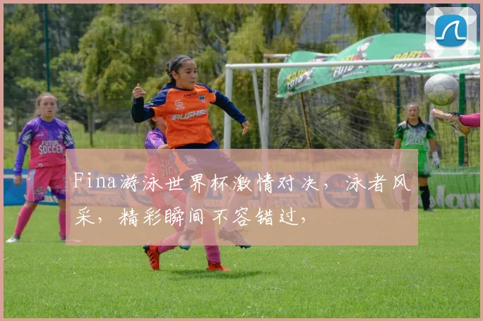Fina游泳世界杯激情对决，泳者风采，精彩瞬间不容错过，