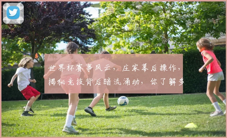 世界杯赛事风云，庄家幕后操作，揭秘竞技背后暗流涌动，你了解多少
