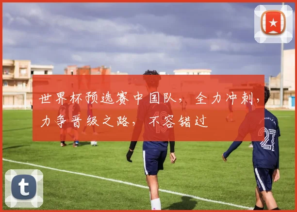 世界杯预选赛中国队，全力冲刺，力争晋级之路，不容错过