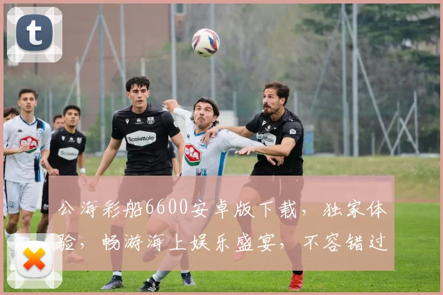 公海彩船6600安卓版下载，独家体验，畅游海上娱乐盛宴，不容错过