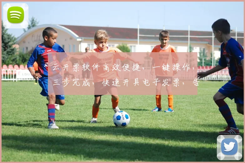 云开票软件高效便捷，一键操作，三步完成，快速开具电子发票，告别繁琐。