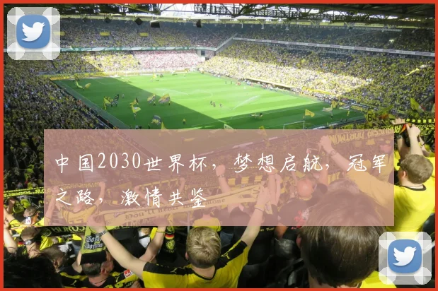 中国2030世界杯，梦想启航，冠军之路，激情共鉴