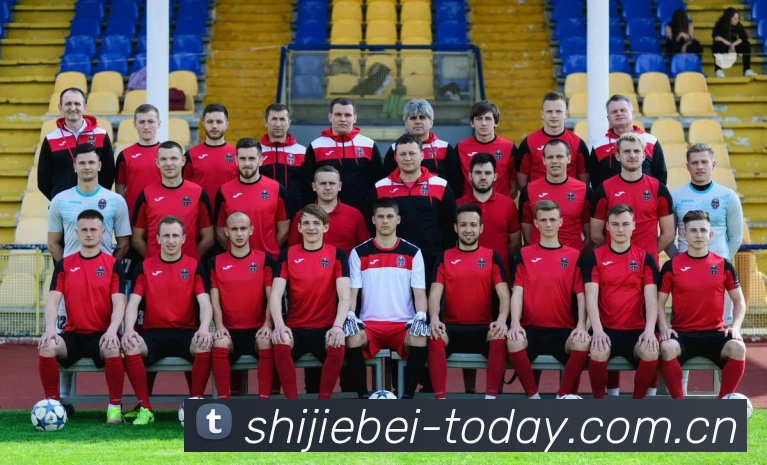 数据分析功能